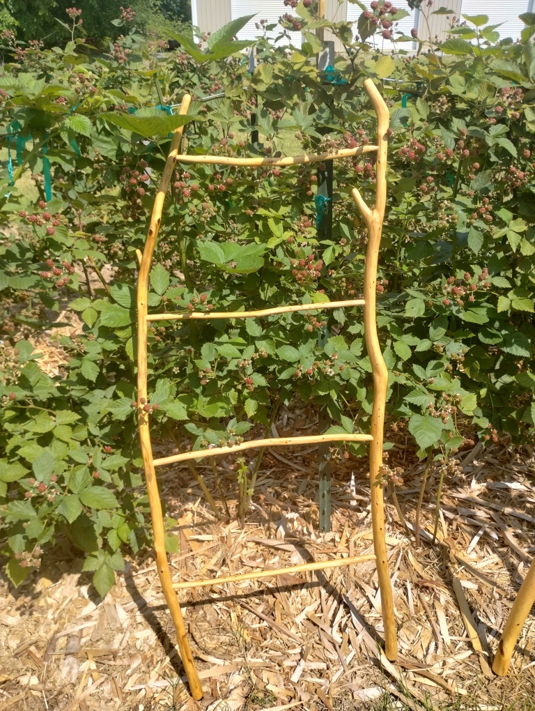 Handcrafted green wood treasures: ancient techniques for modern living