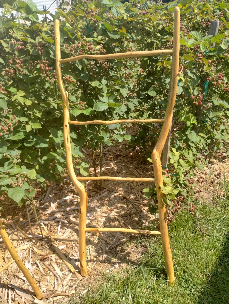 Dark academia home decor: rustic cedar limb woodcraft