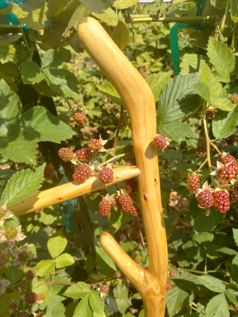 cedar limb ladders for castlecore bath interiors