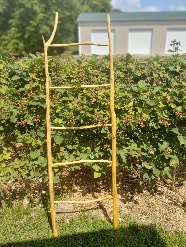 Handcrafted Riven Ladder