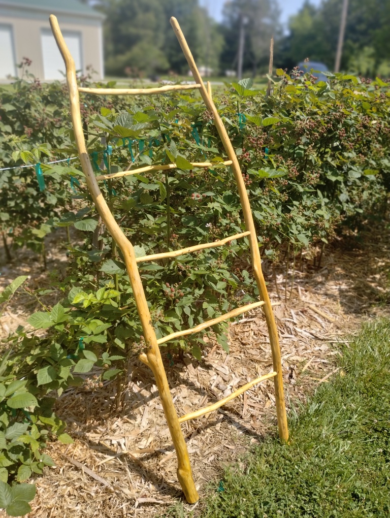 Handcrafted Riven Ladder