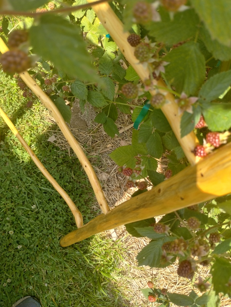 Handcrafted Riven Ladder