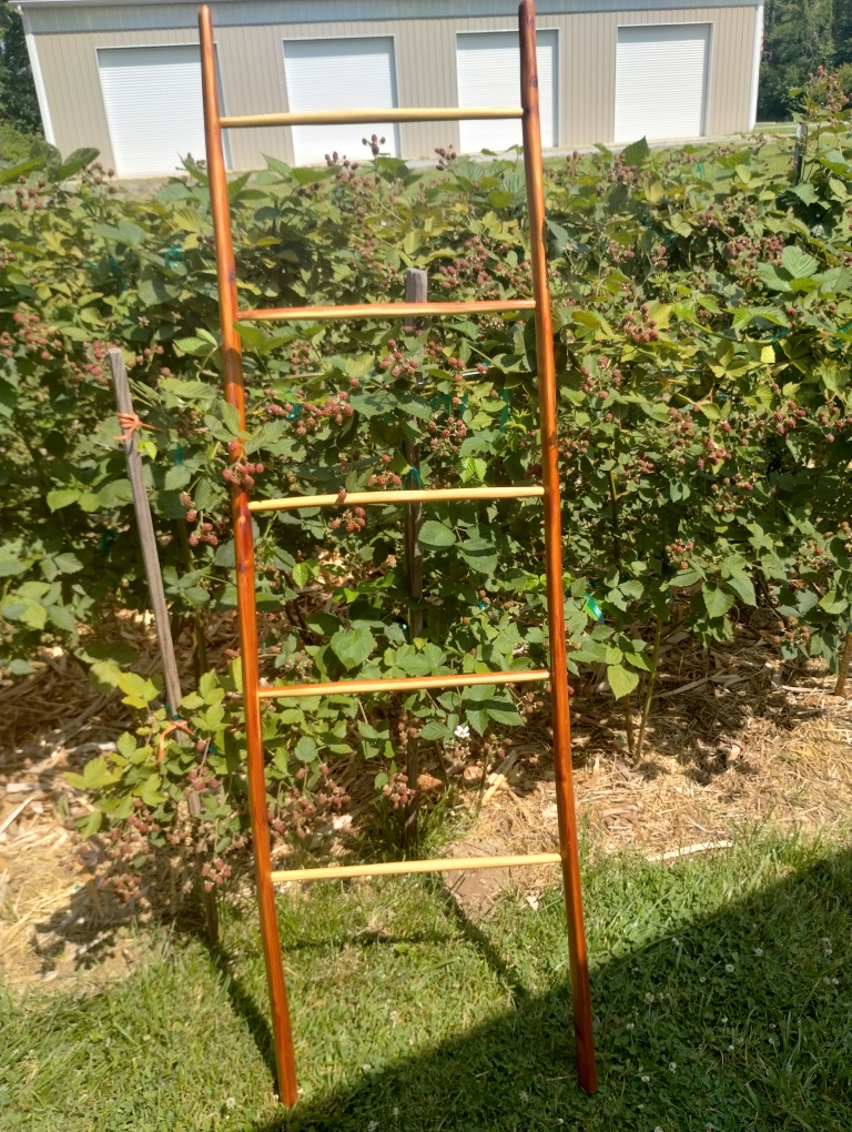 Timeless riven wood accents for dark academia study spaces