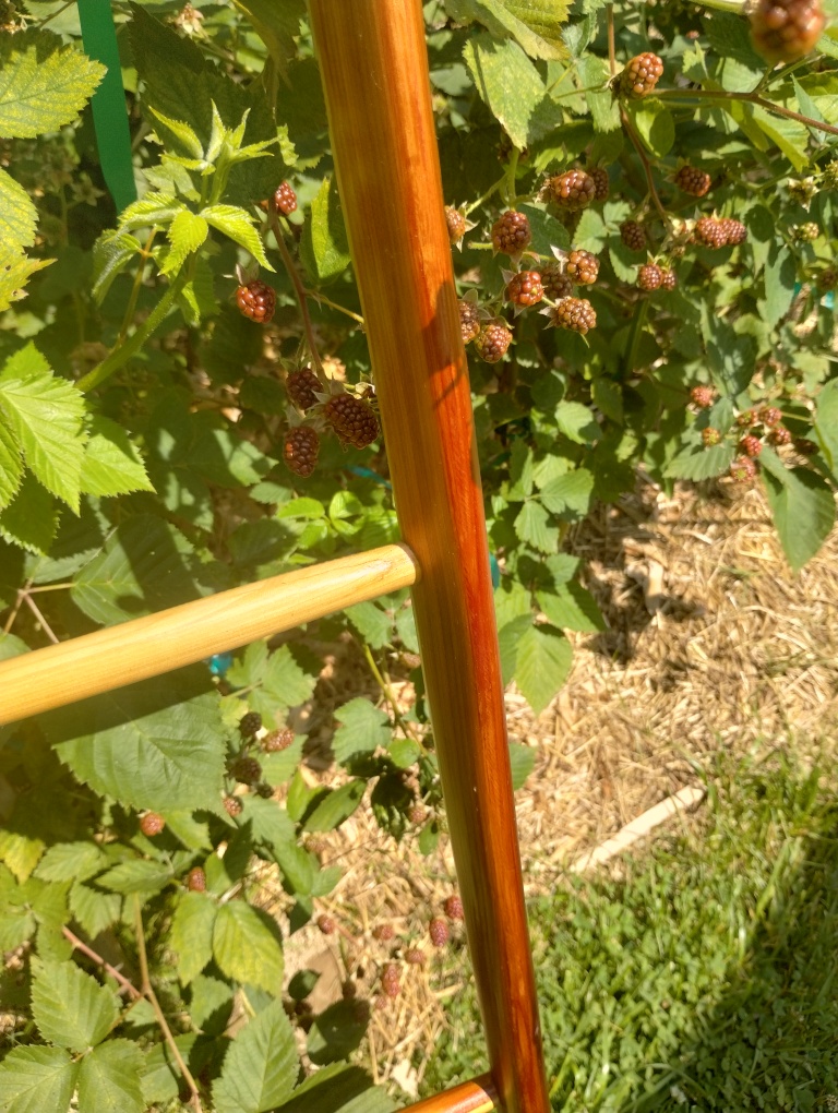 Handcrafted Riven Ladder