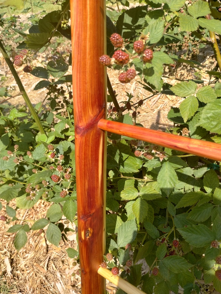 Handcrafted Riven Ladder