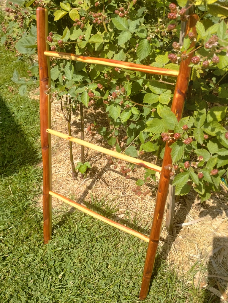 Handcrafted Riven Ladder