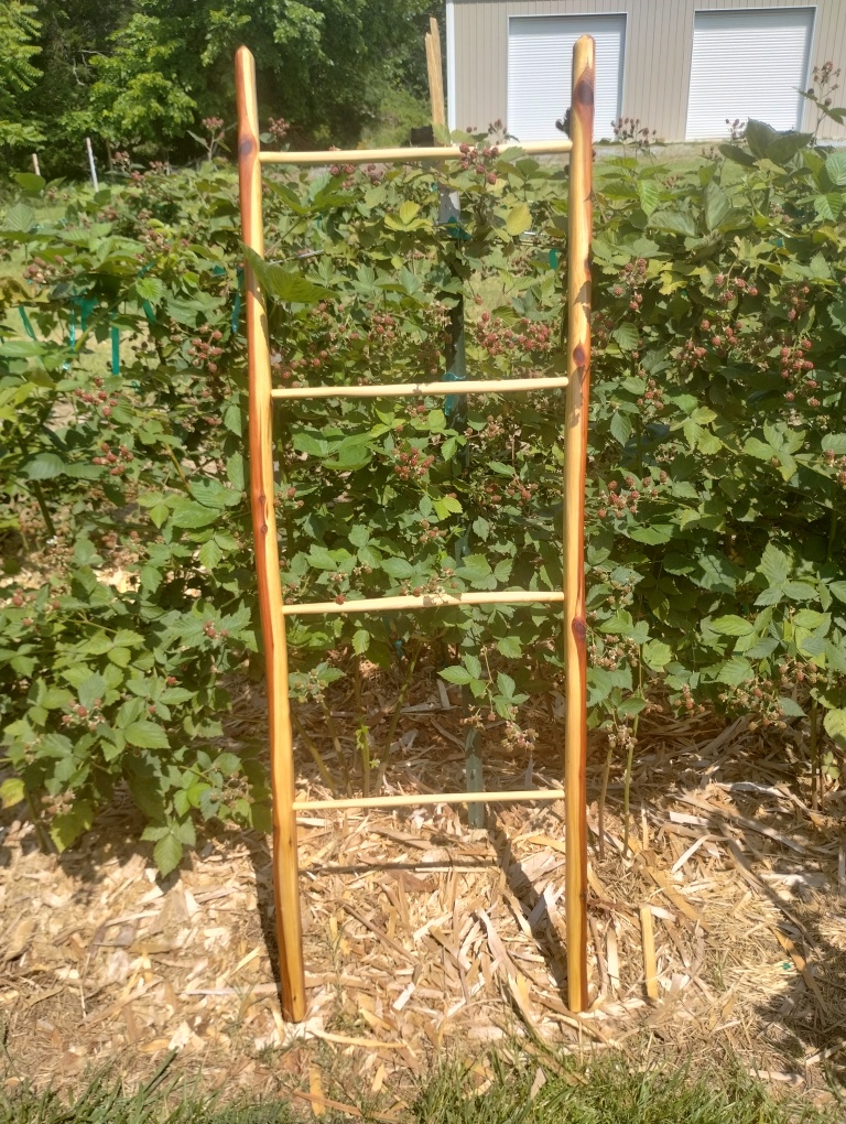 Handcrafted Riven Ladder