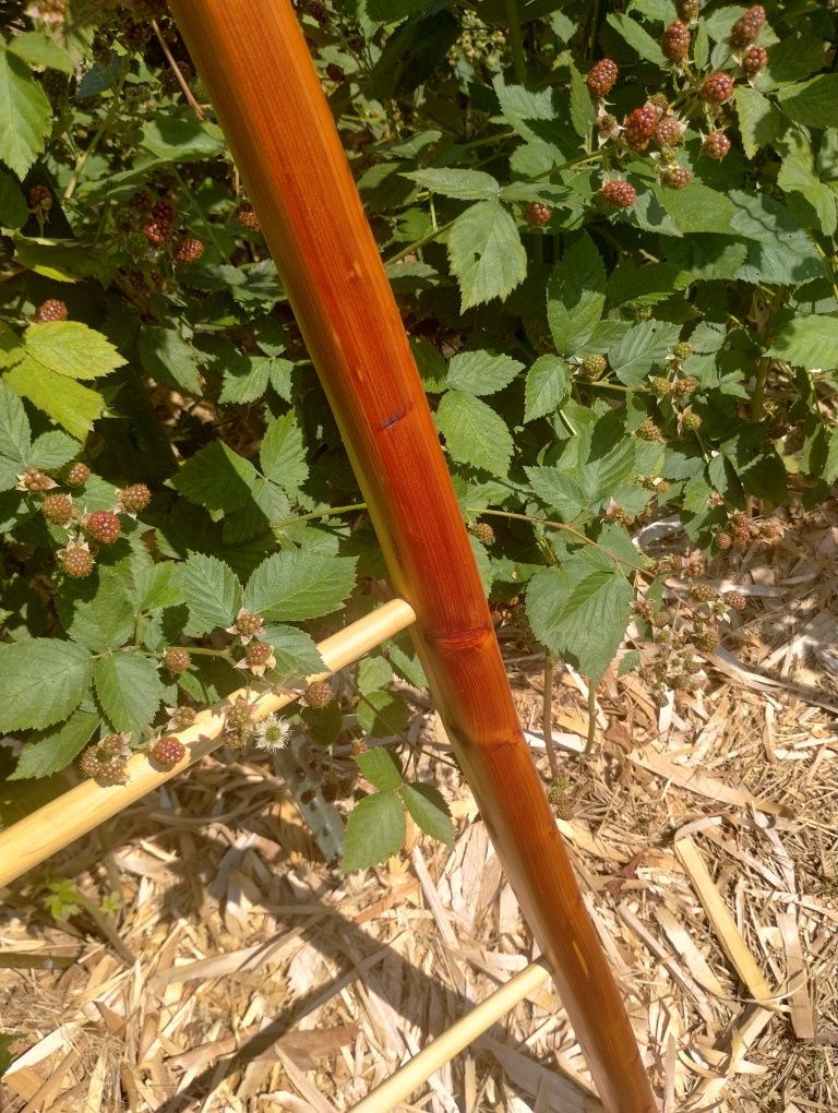 Handcrafted Riven Ladder