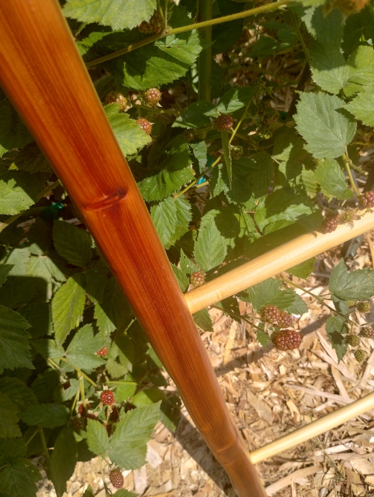 Handcrafted Riven Ladder